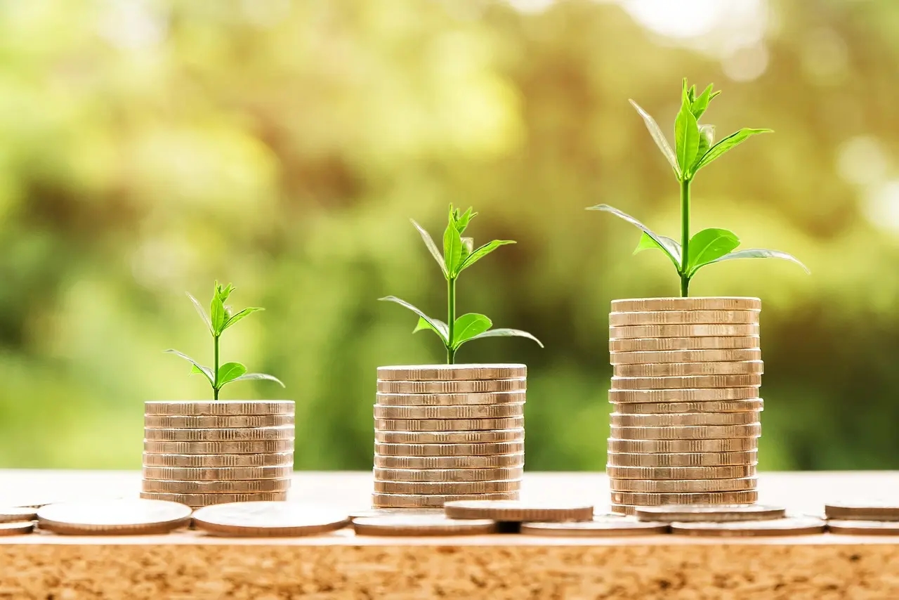 Cuentas remuneradas y cash pooling: qué hacer con la tesorería que te sobra